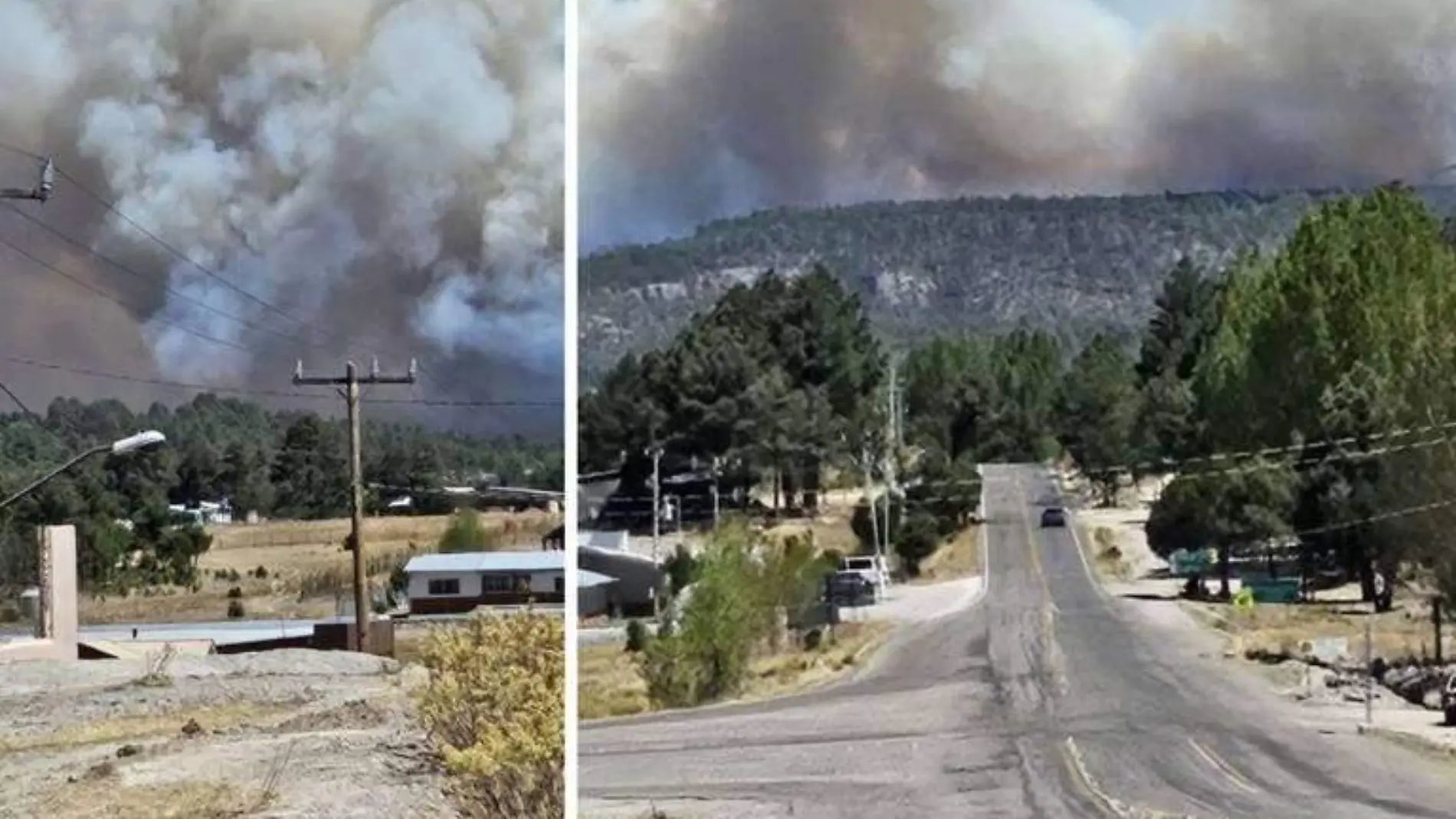 cierran tramo incendio forestal en guachochi foto coordinacion estatal de proteccion civil cepc